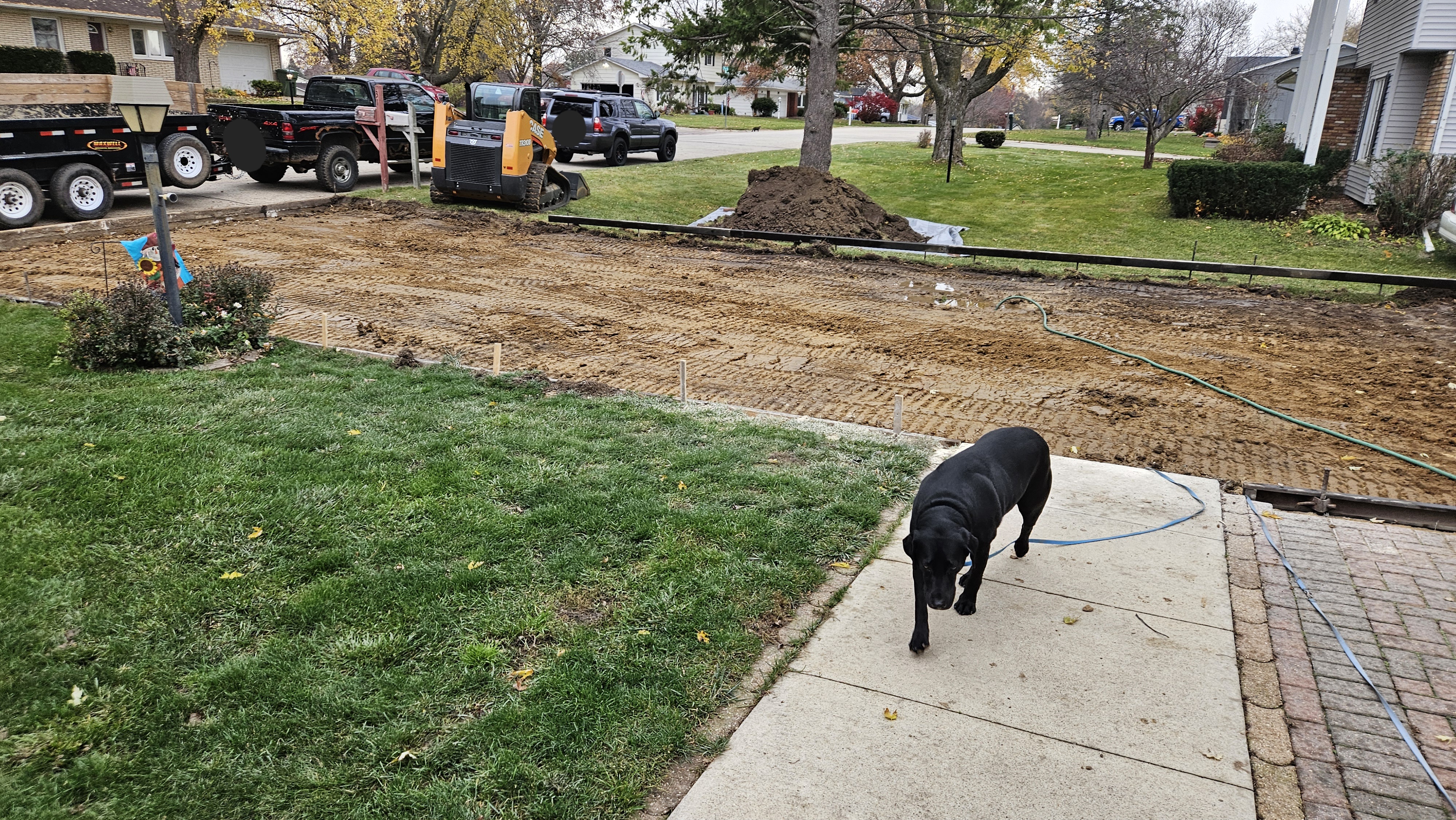 Luna really needs a shorter leash for her adventures