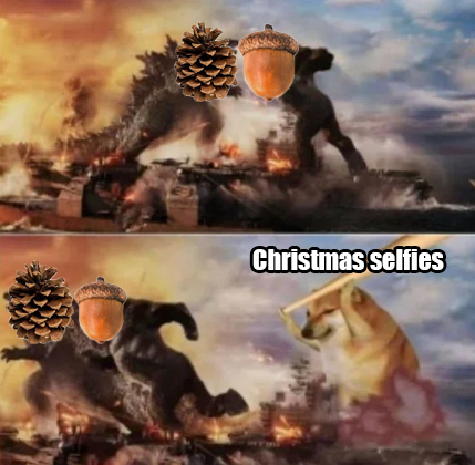 Merry Christmas from Your Favorite Pineconer!
