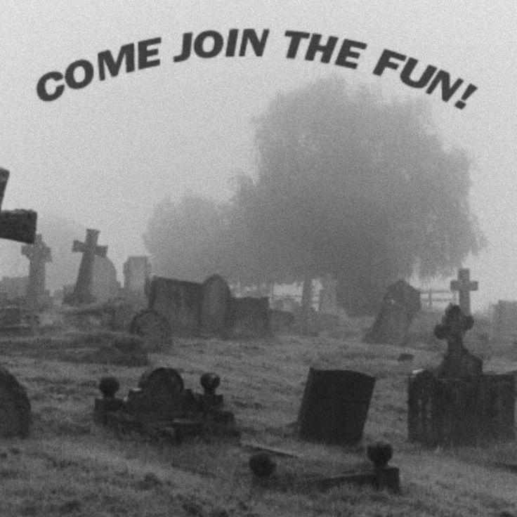 Just Having Fun: Embracing the Joys of Life
