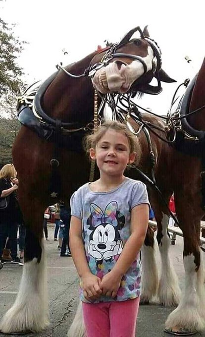 The Ultimate Photobomb Moment!