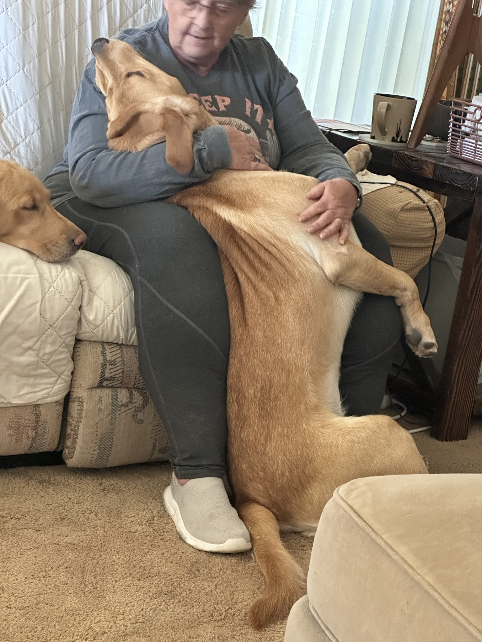 Char wonders: Is my dog secretly a skinwalker?
