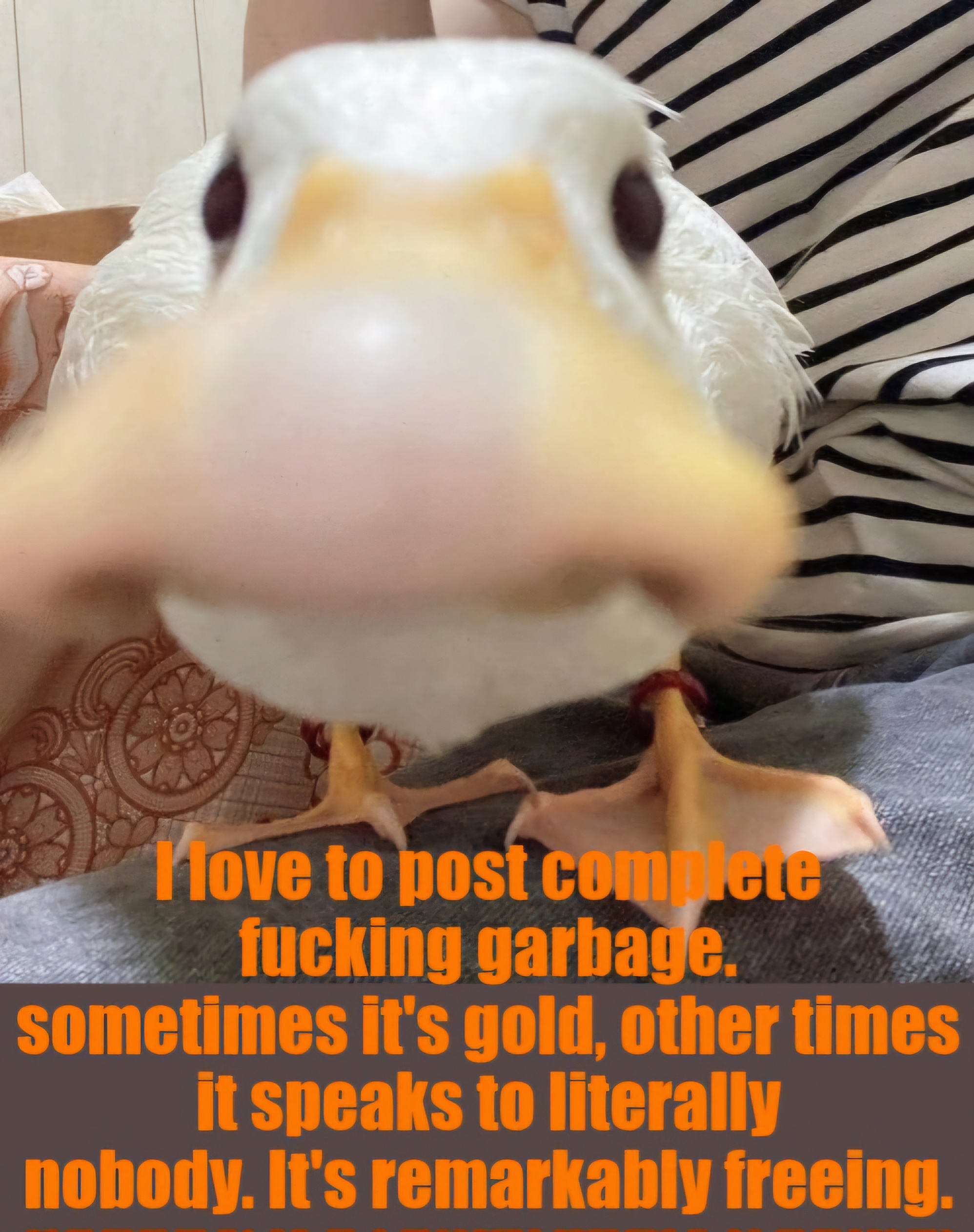 That Post: A Meme Worth Sharing