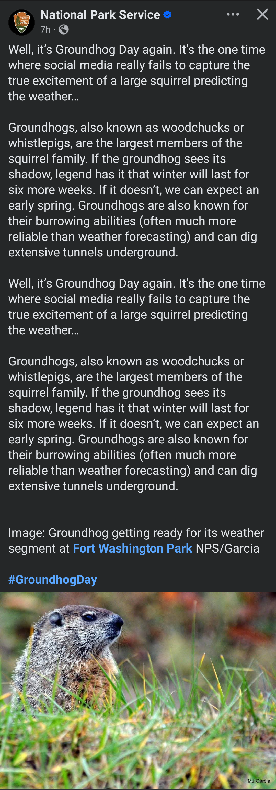 Celebrating Groundhog Day in Style