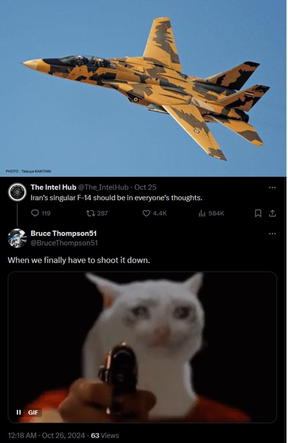 A Stunning Warplane: Beauty in Every Flight