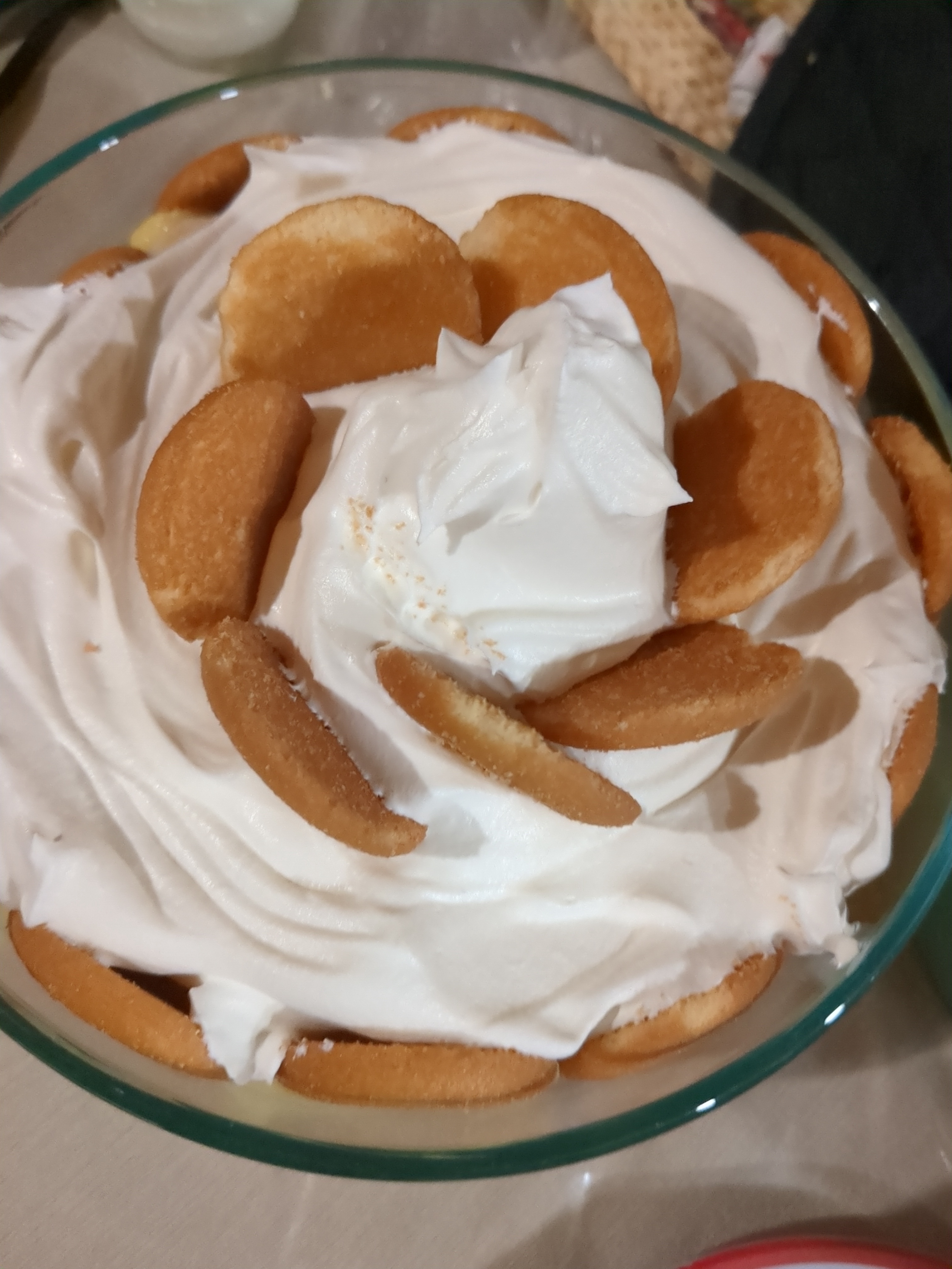 Celebrating Cake Day with Sweet Delights!