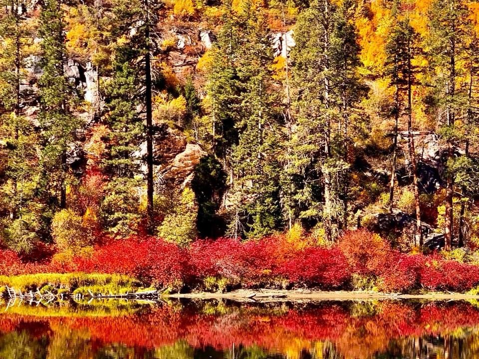 The Beauty of Autumn in Full Color