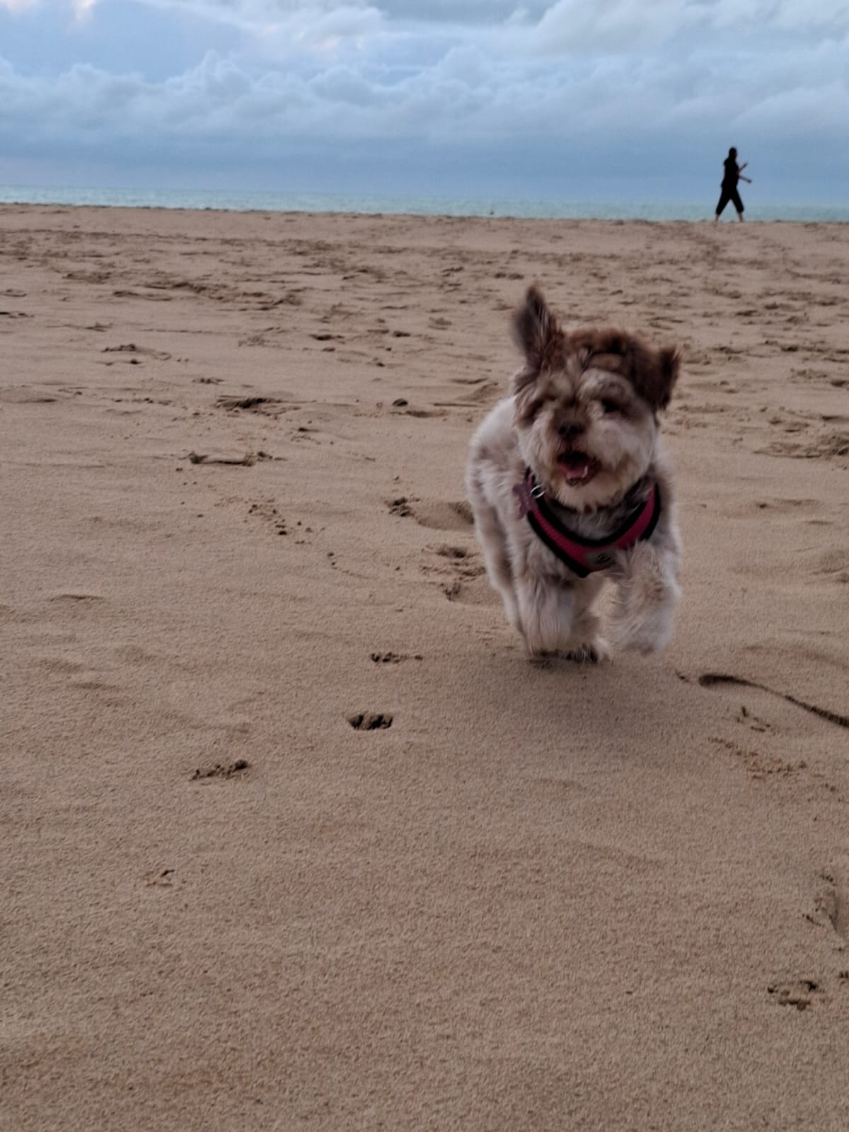 Fun in the Sun: Beach Day Adventures