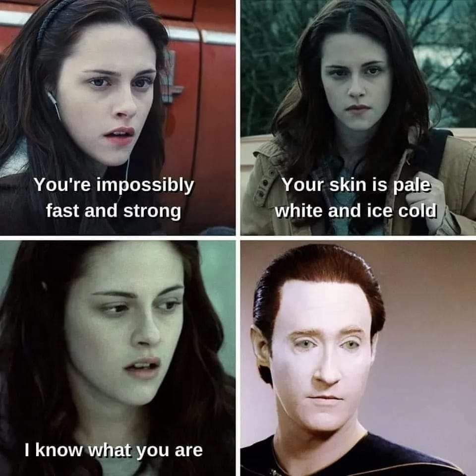 Way Better Than a Sparkly Groomer