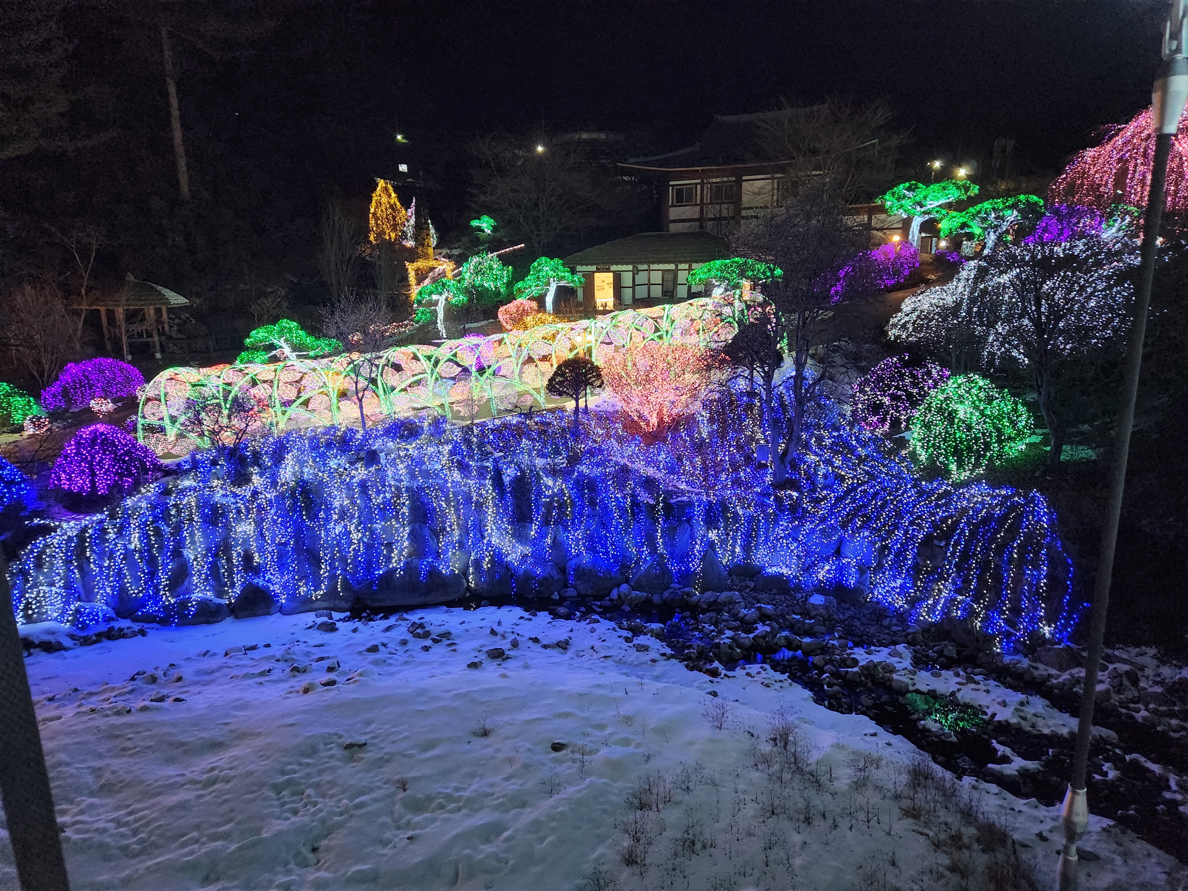 Exploring the Tranquil Garden of Morning Calm in South Korea