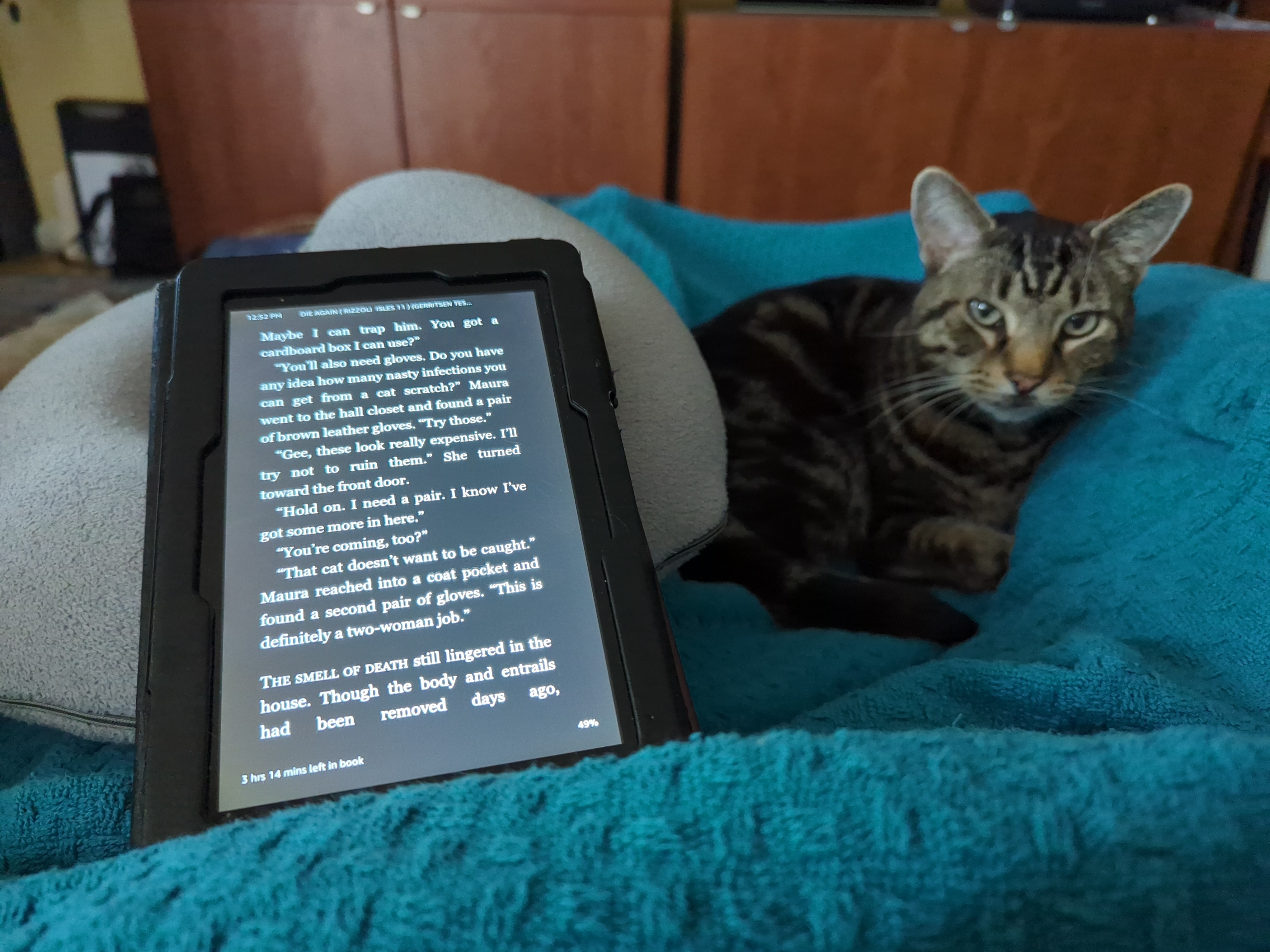 Oscar and a Book: A Perfect Pairing for a Cozy Evening