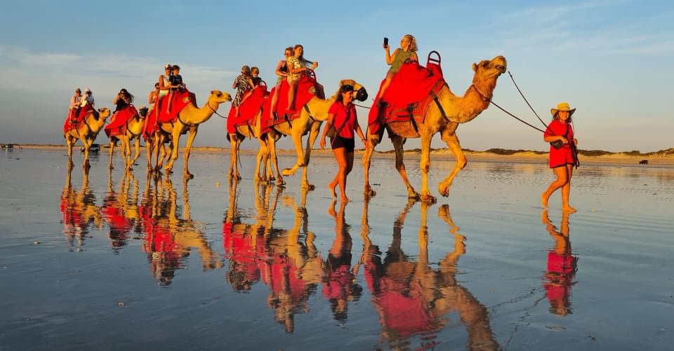 The Fascinating World of Camels