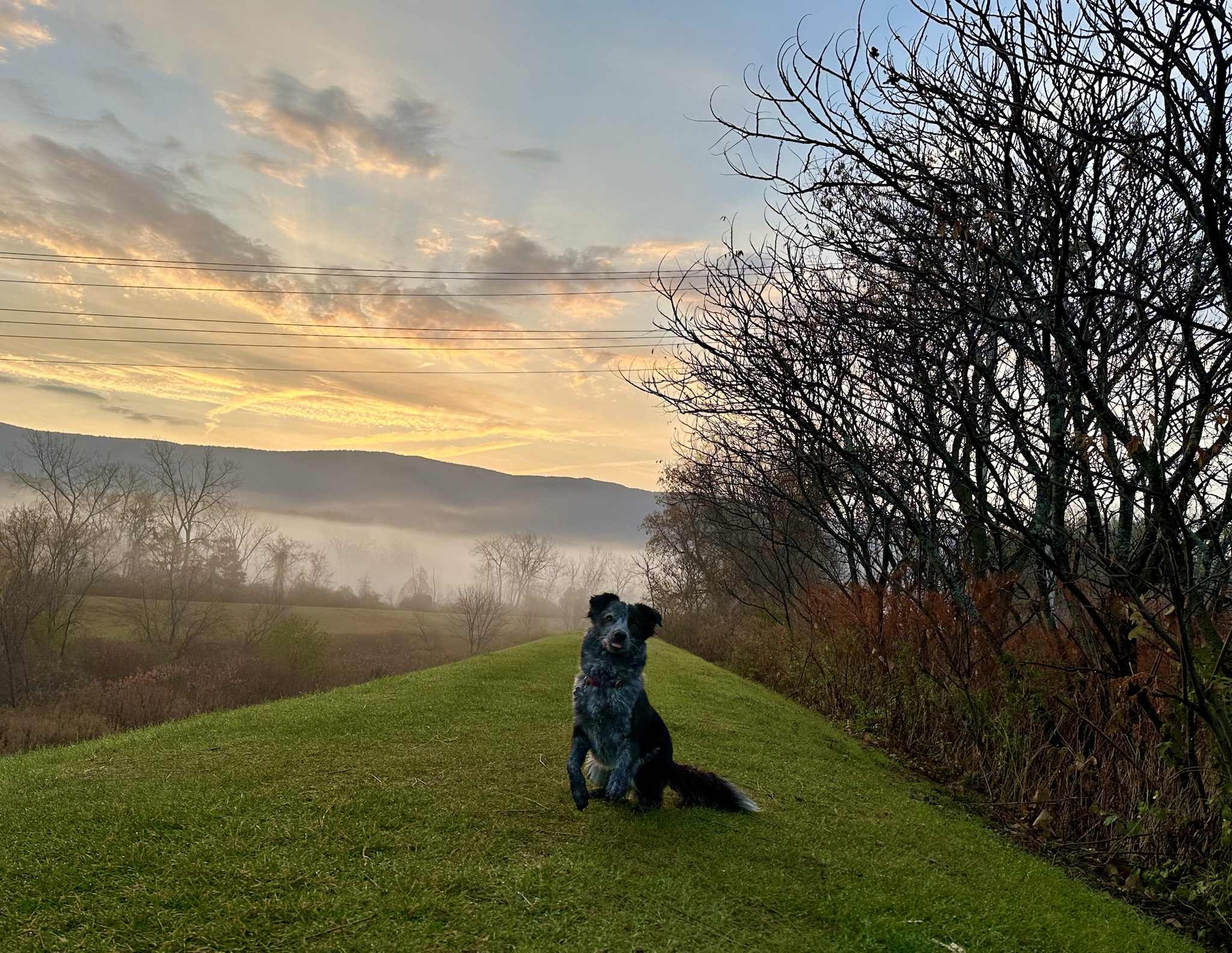 Your Daily Dose of Atlas Adventures!