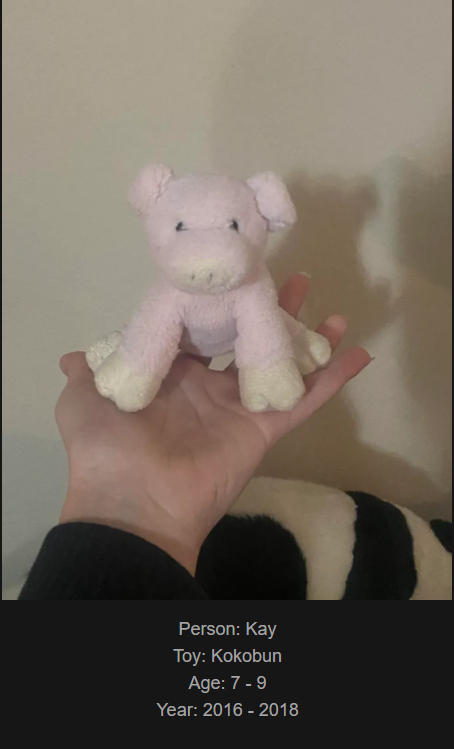 Day 881: Join me on a nostalgic journey at www.saidtheskinhorse.com, where we celebrate our cherished childhood toys. Meet Kokobun, our latest treasure! Let's dive into the fun!