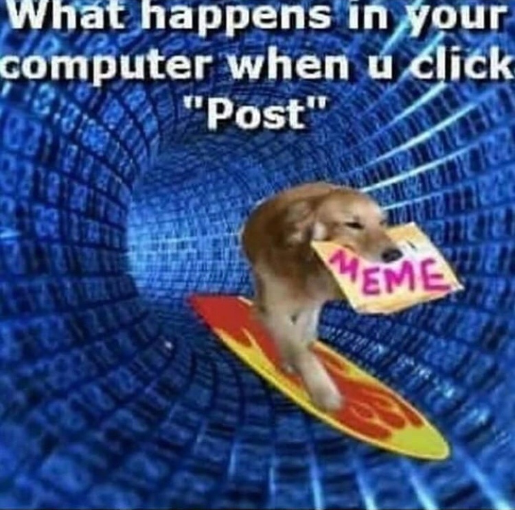 Releasing Over 20 GB of Saved Memes: Episode 4