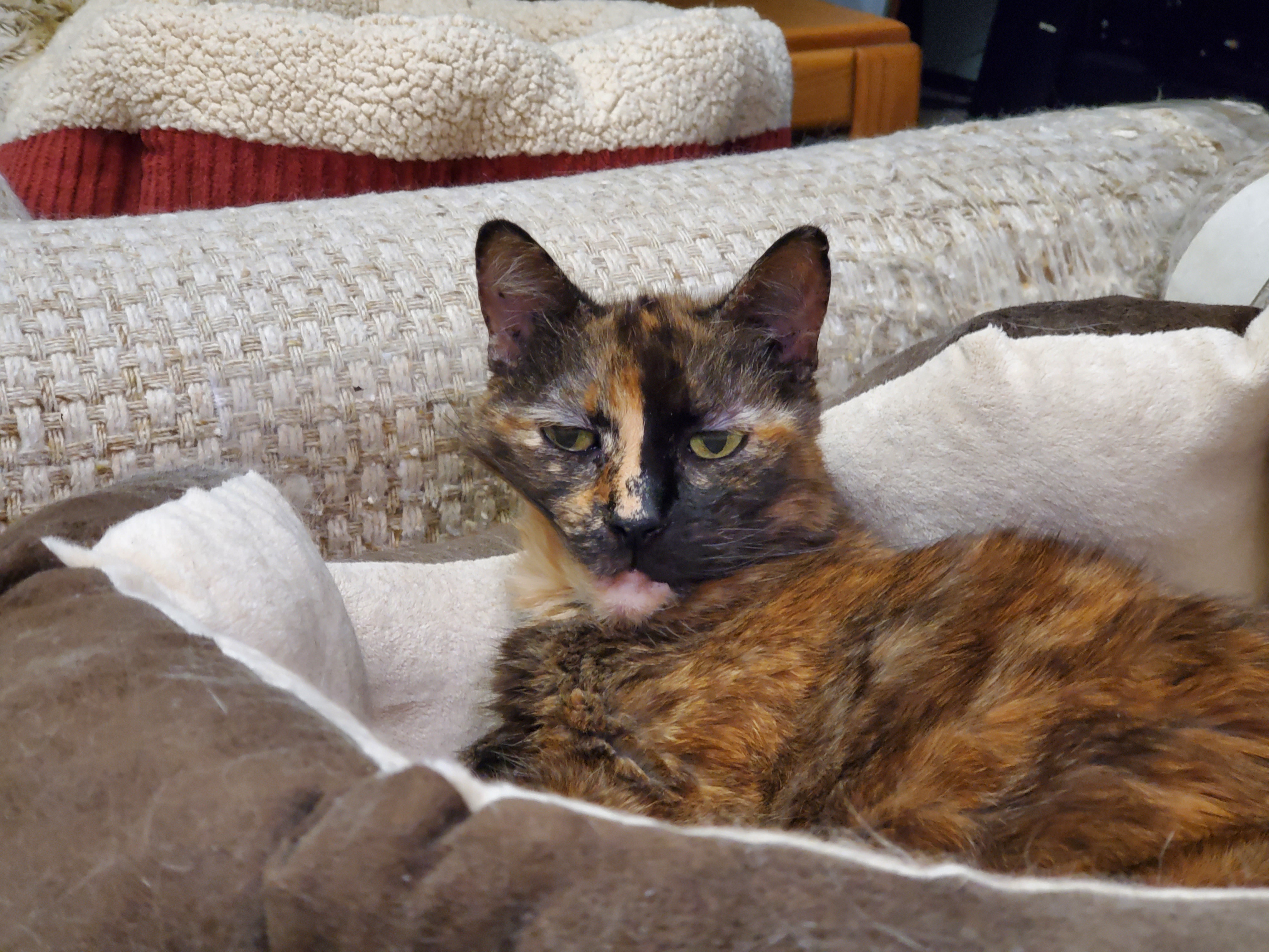 Milly, you woke up with that classic bedhead look!