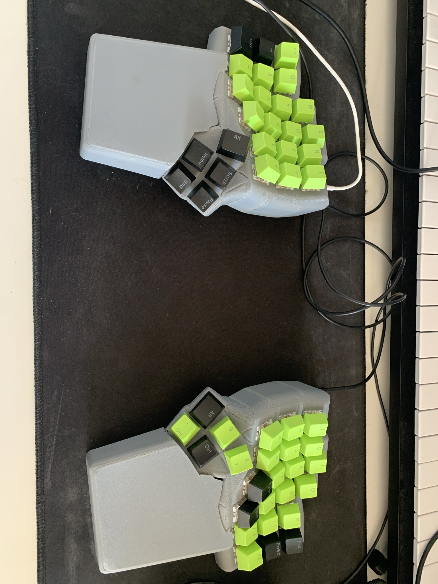 The Mighty Dactyl: A Closer Look