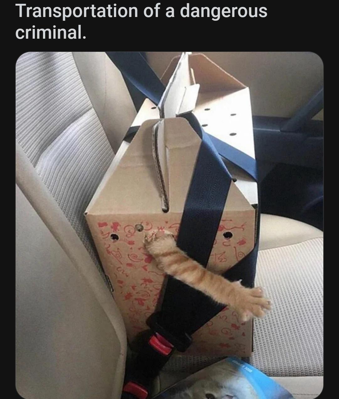 Caught Up in Some Serious Trouble