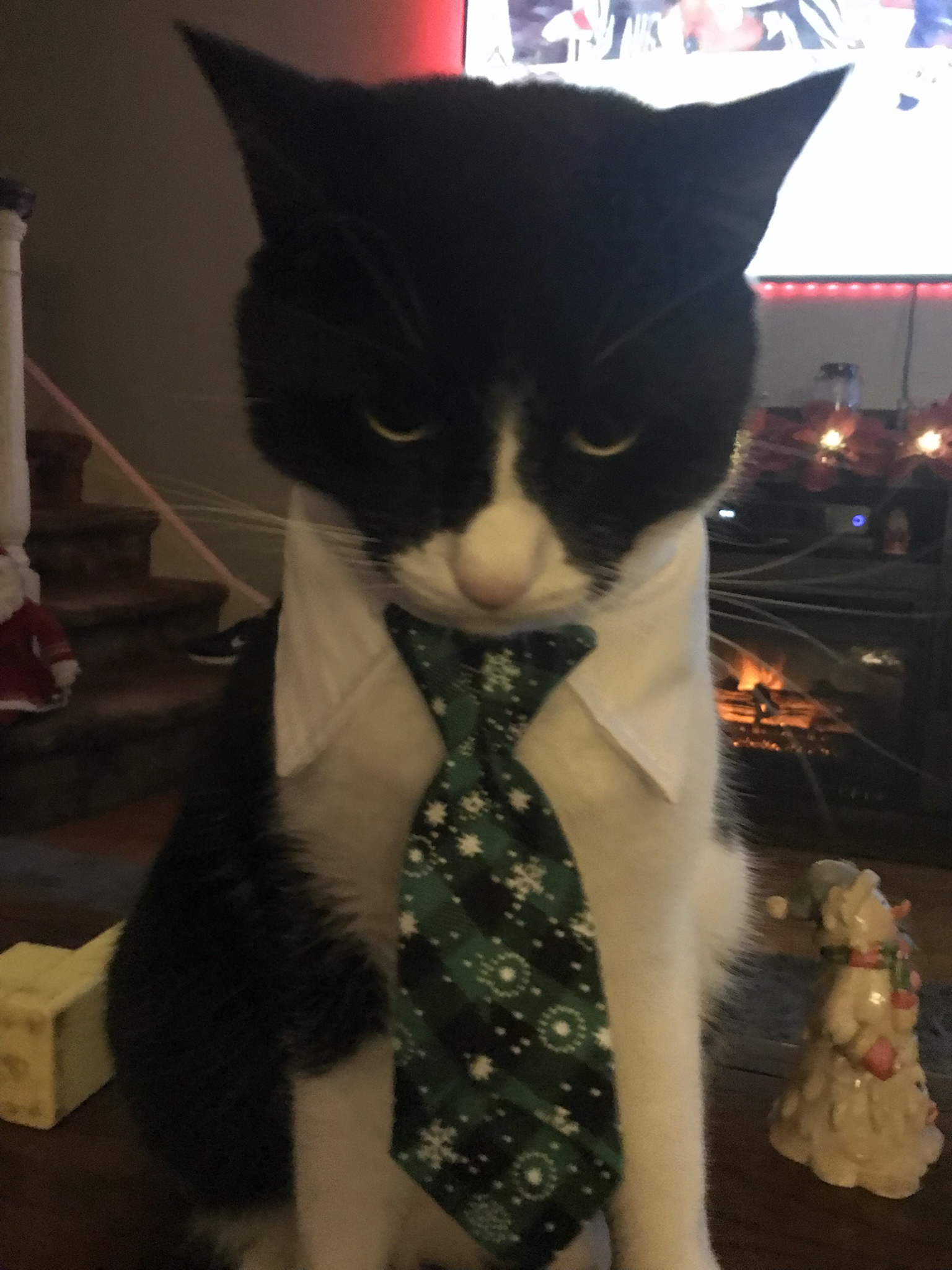 Wishing You Happy Holidays, You Filthy Animals!