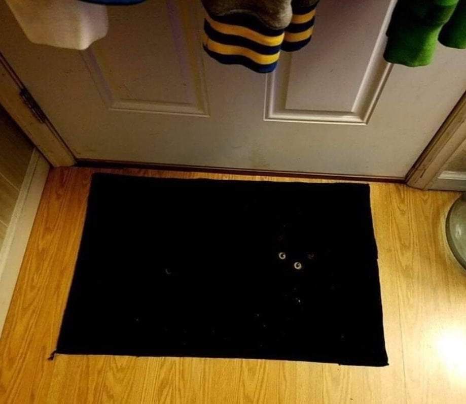 The Rug That Sees All