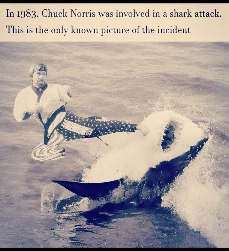 The Legendary Chuck Norris Meme