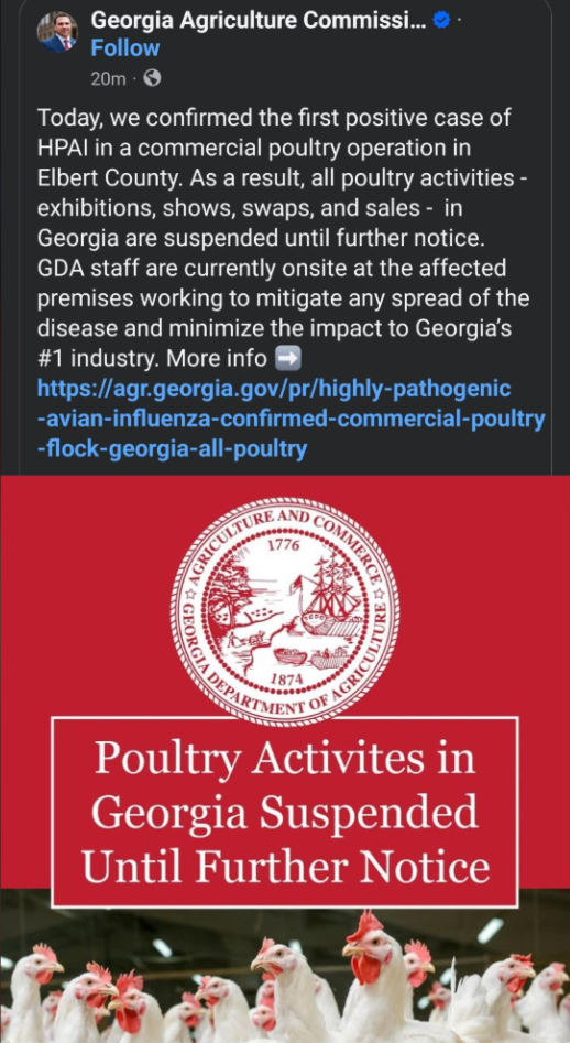 Celebrating the Arrival of Avian Influenza in Georgia!