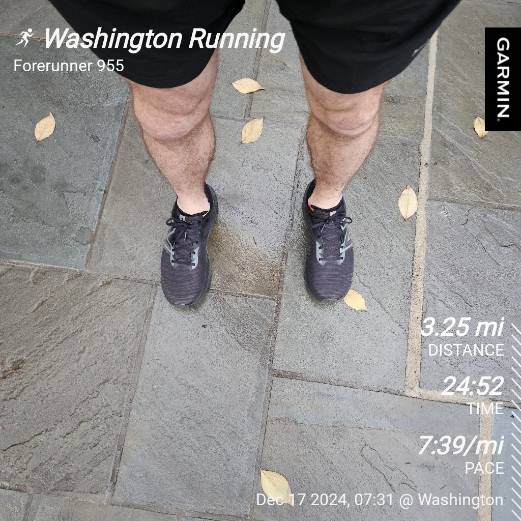 A Glimpse into the Daily Run Routine