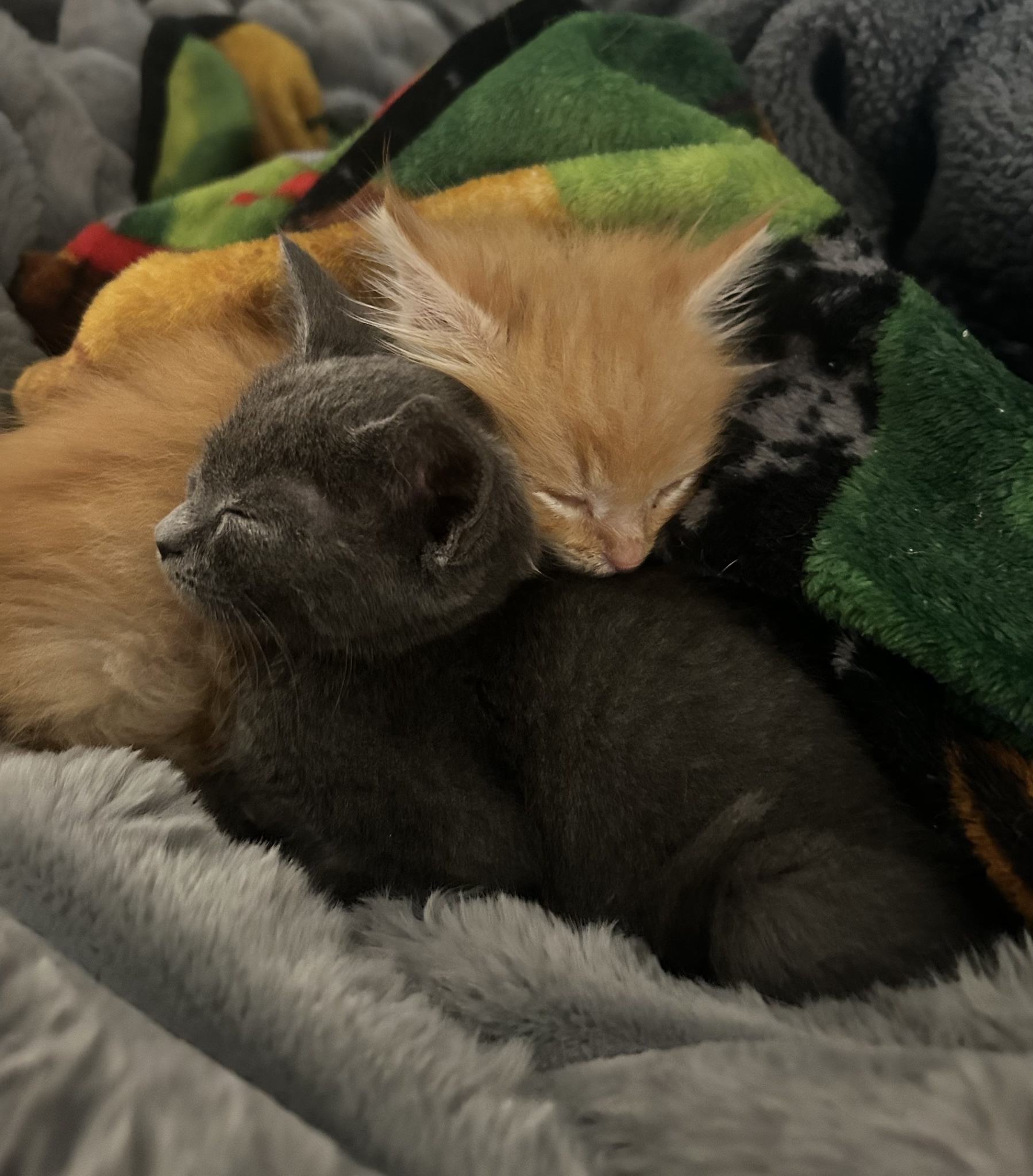 Time to Say Goodnight!