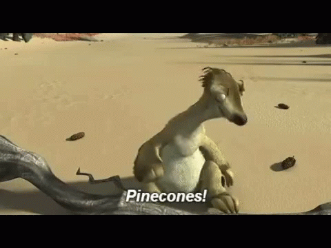 What’s the Point of Needing Acorns Anyway?