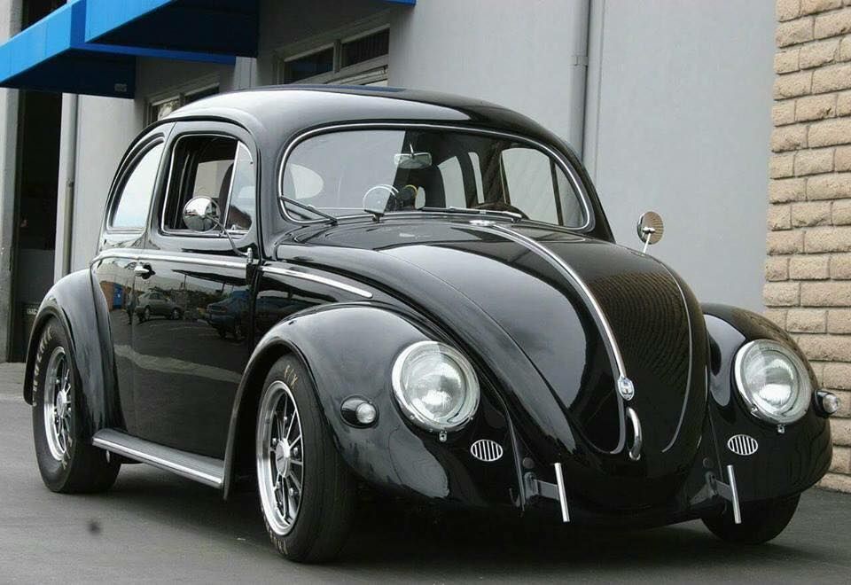 The Mysterious Black Beetle Unveiled