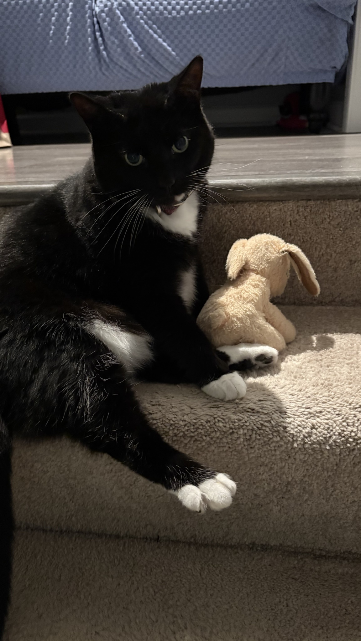 Sushi Paris and Her Adorable Stuffed Bunny