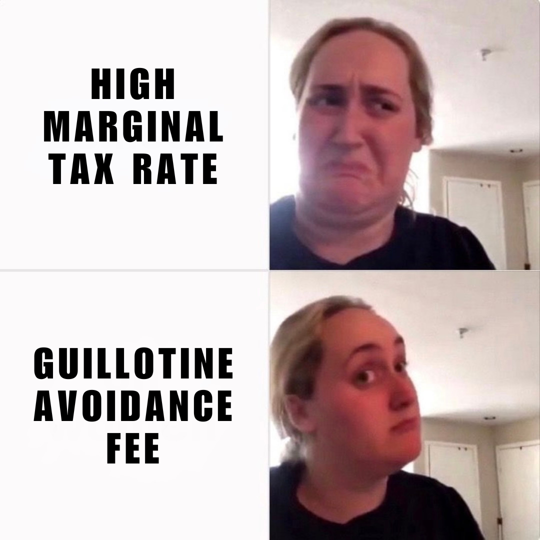 The Reality of Taxes: A Necessary Burden