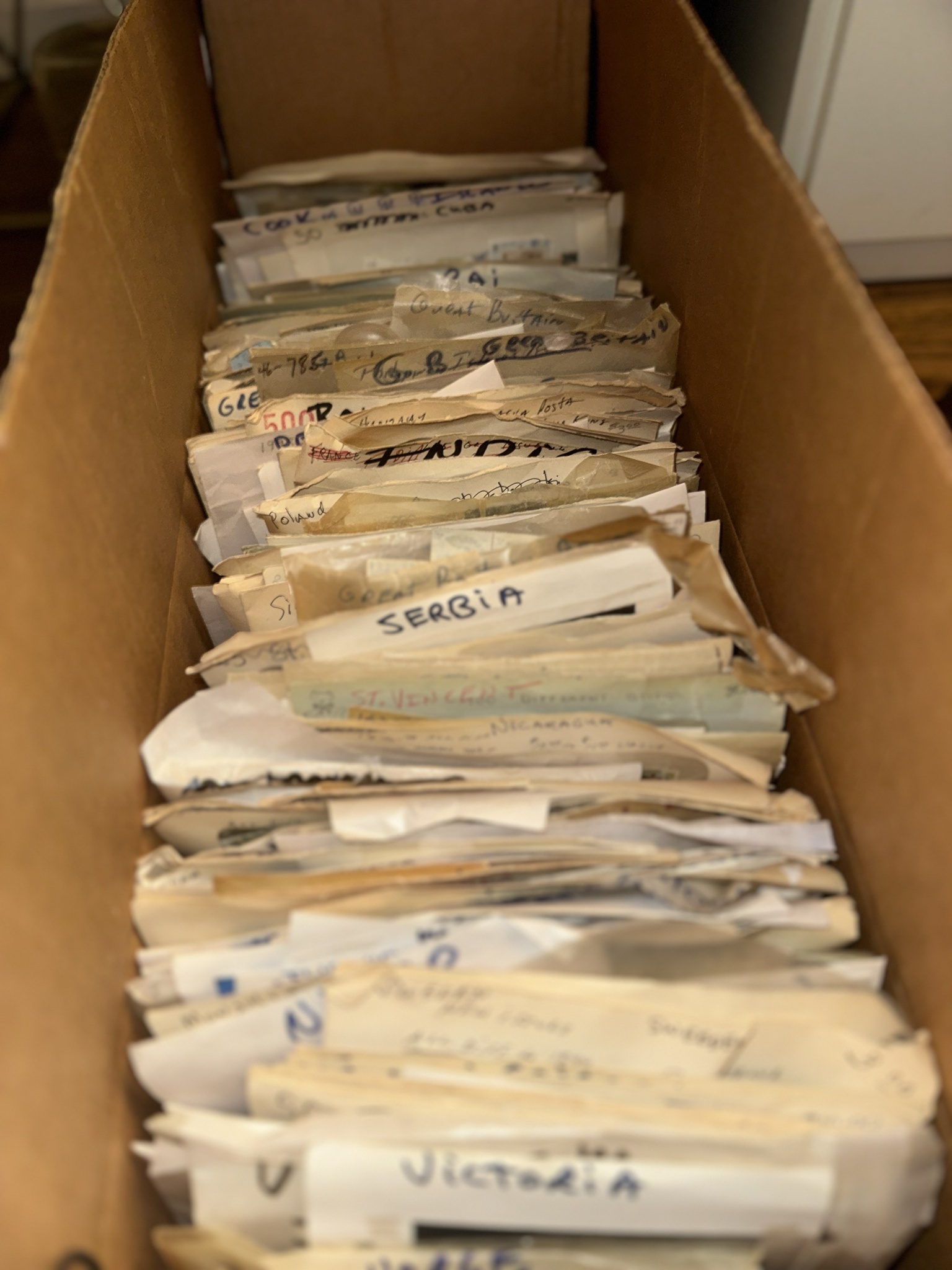Diving into the fascinating world of stamp collecting