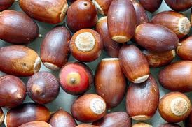 Deez Nutz: The Classic Joke That Never Gets Old