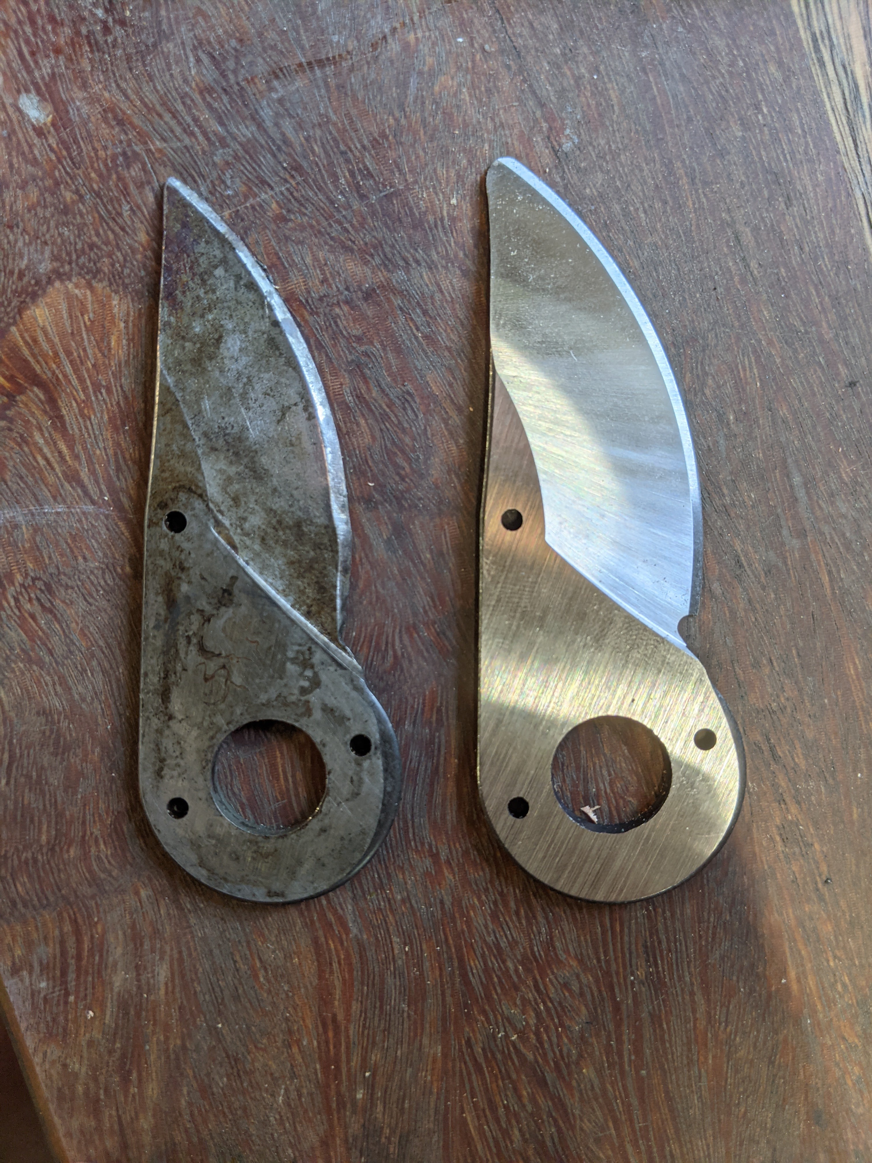 Comparing Felco Blades: Which One Reigns Supreme?