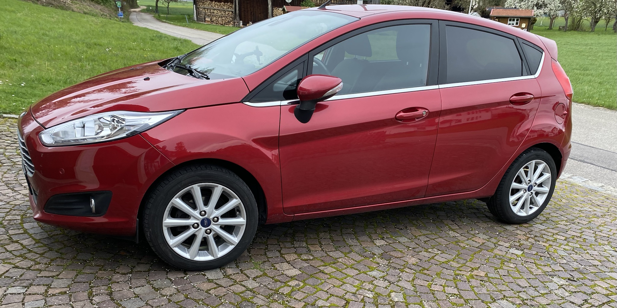My Adorable Little Fiesta
