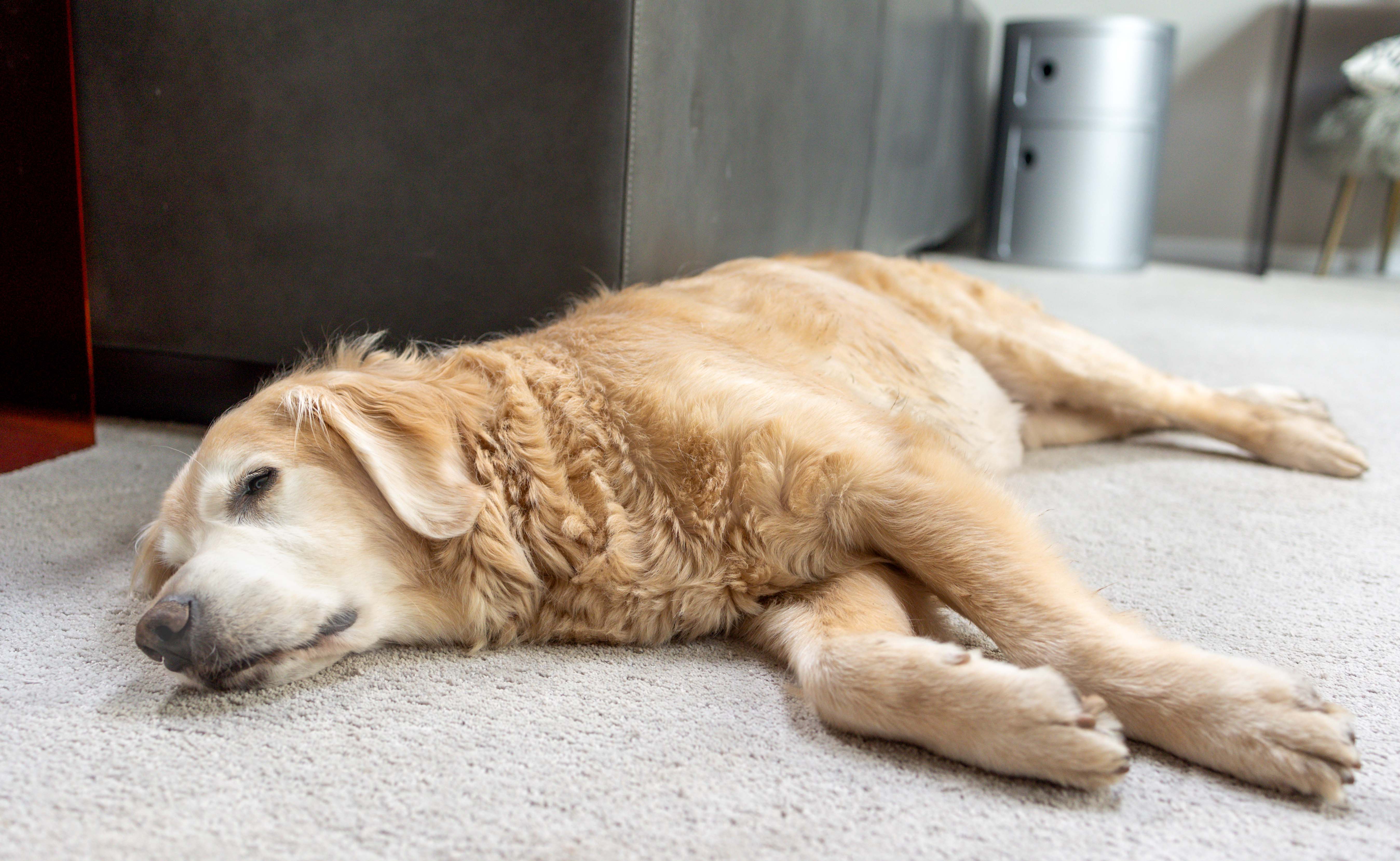 Cooper, fighting to stay awake