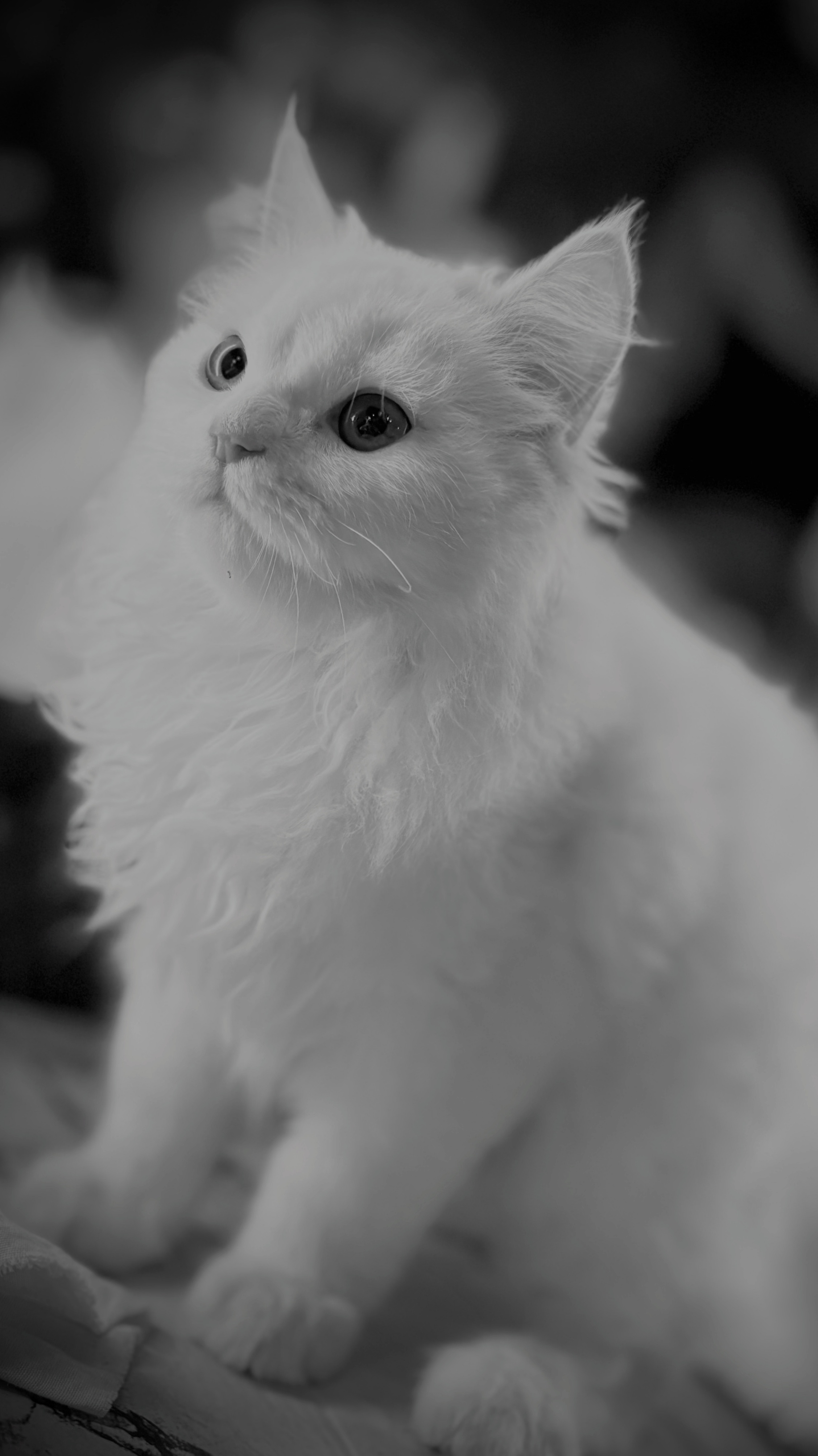 Just Sophie Being Adorable