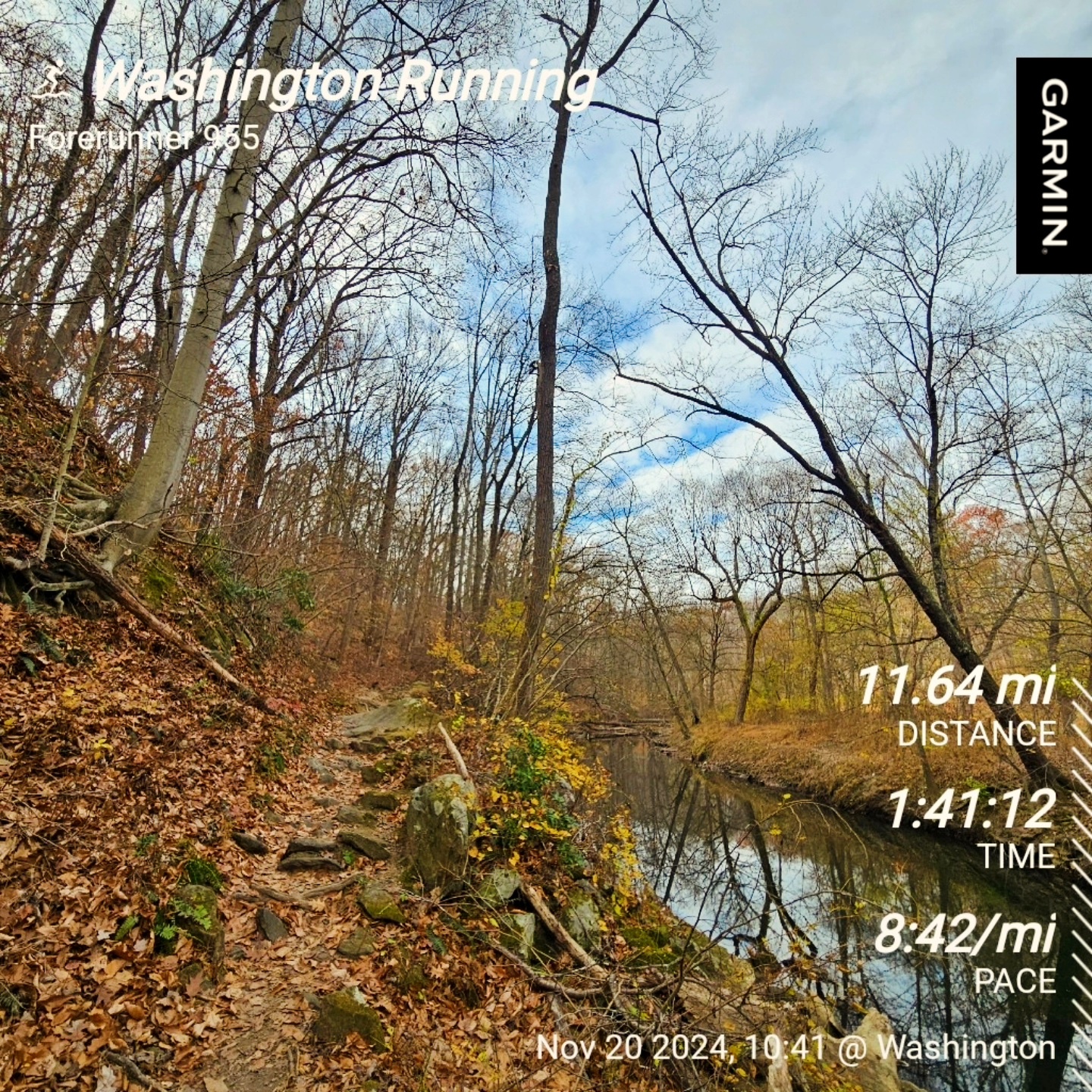 Today's Daily Run: A Journey in Motion