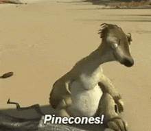 Let's Go, Team Pinecone!