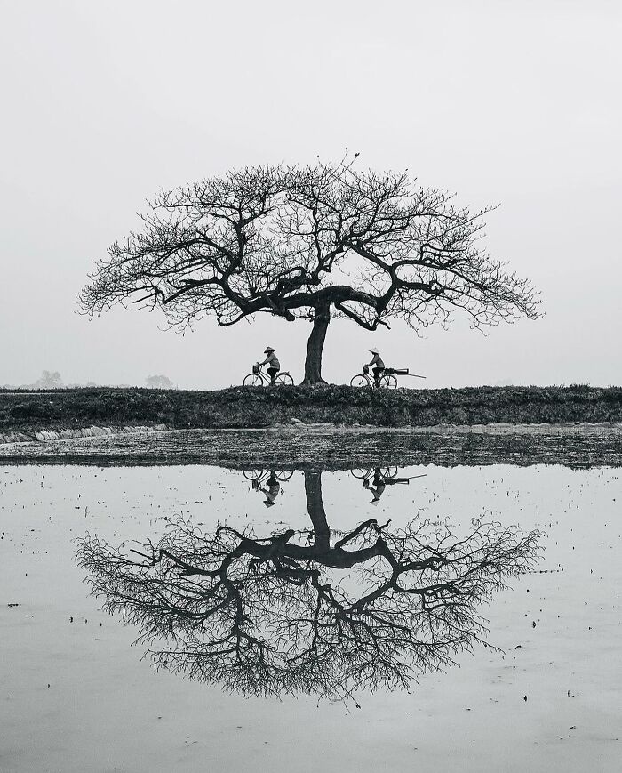Deep Thoughts: A Moment of Reflection