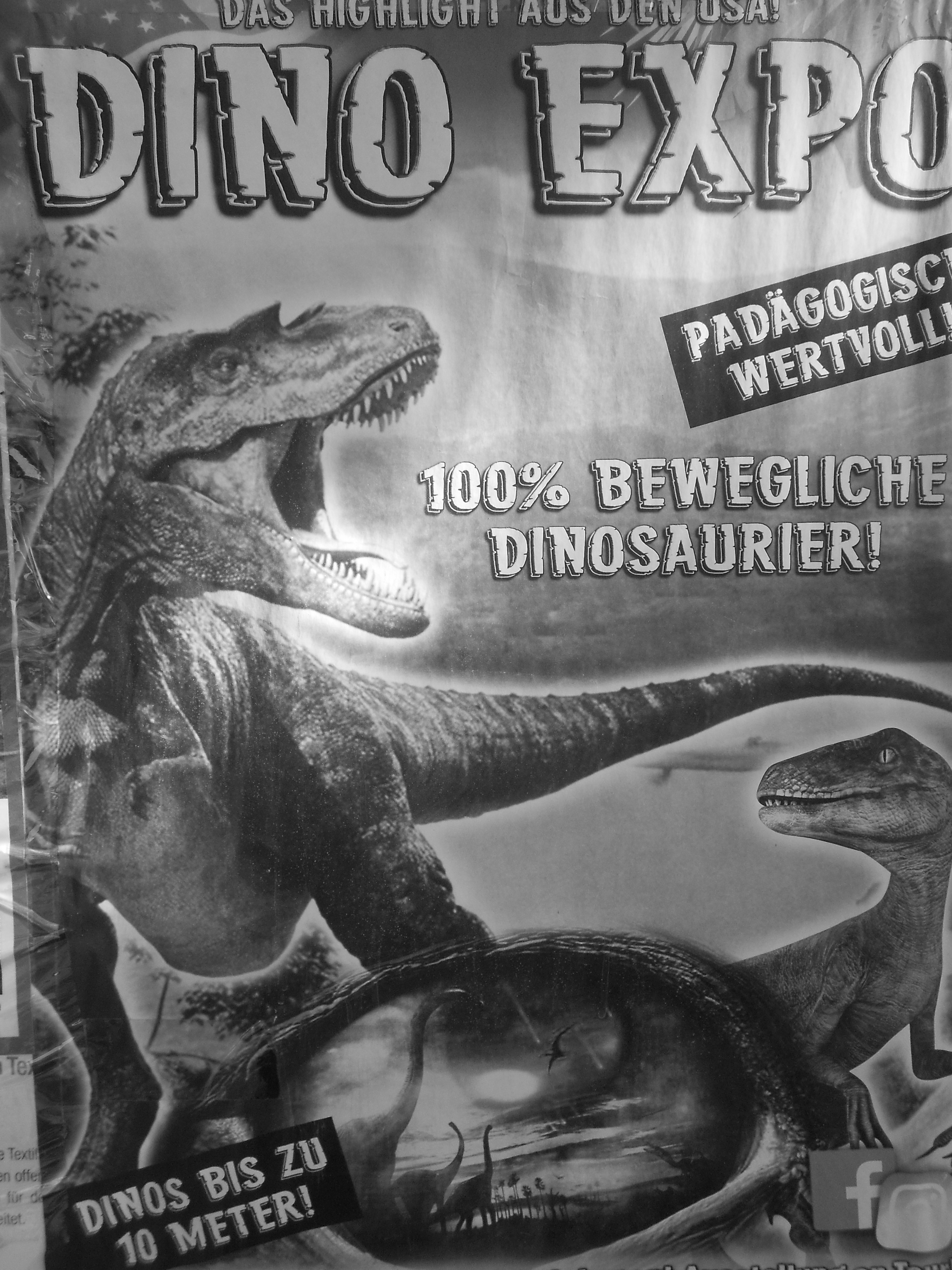 A nostalgic black-and-white snapshot from Regensburg, November 2023