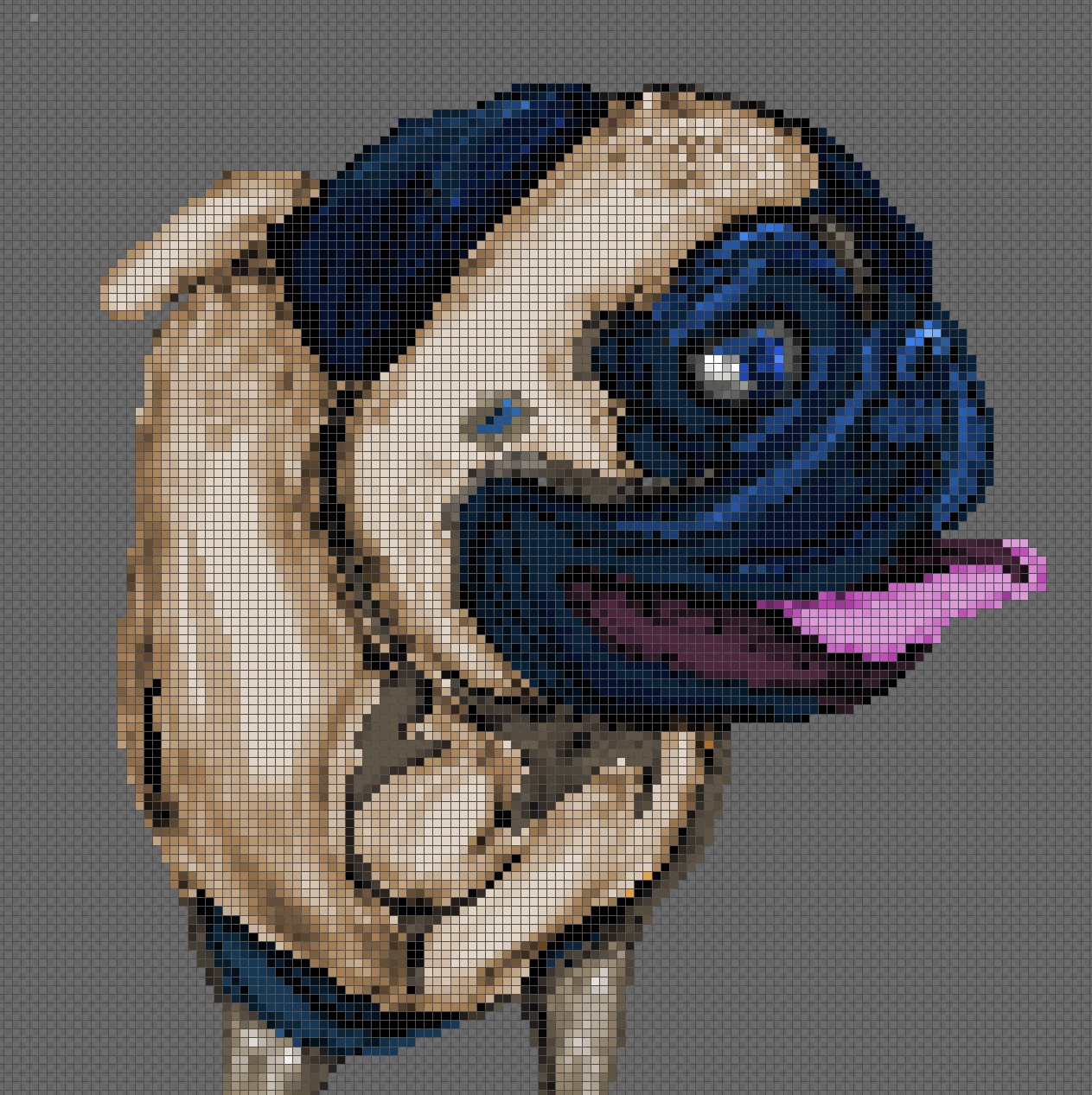Meet Pippin, the Adorable Pixelated Pug