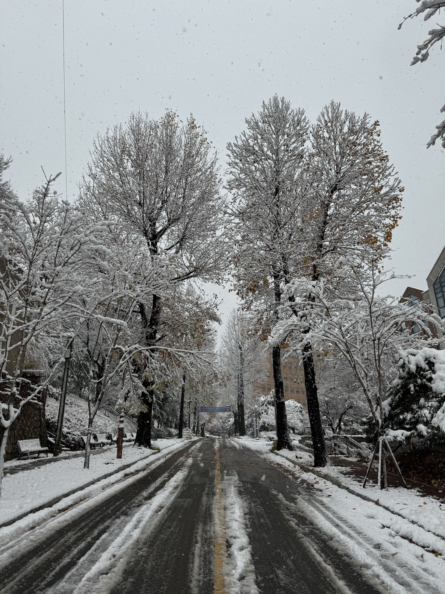 OMG, it's snowing!