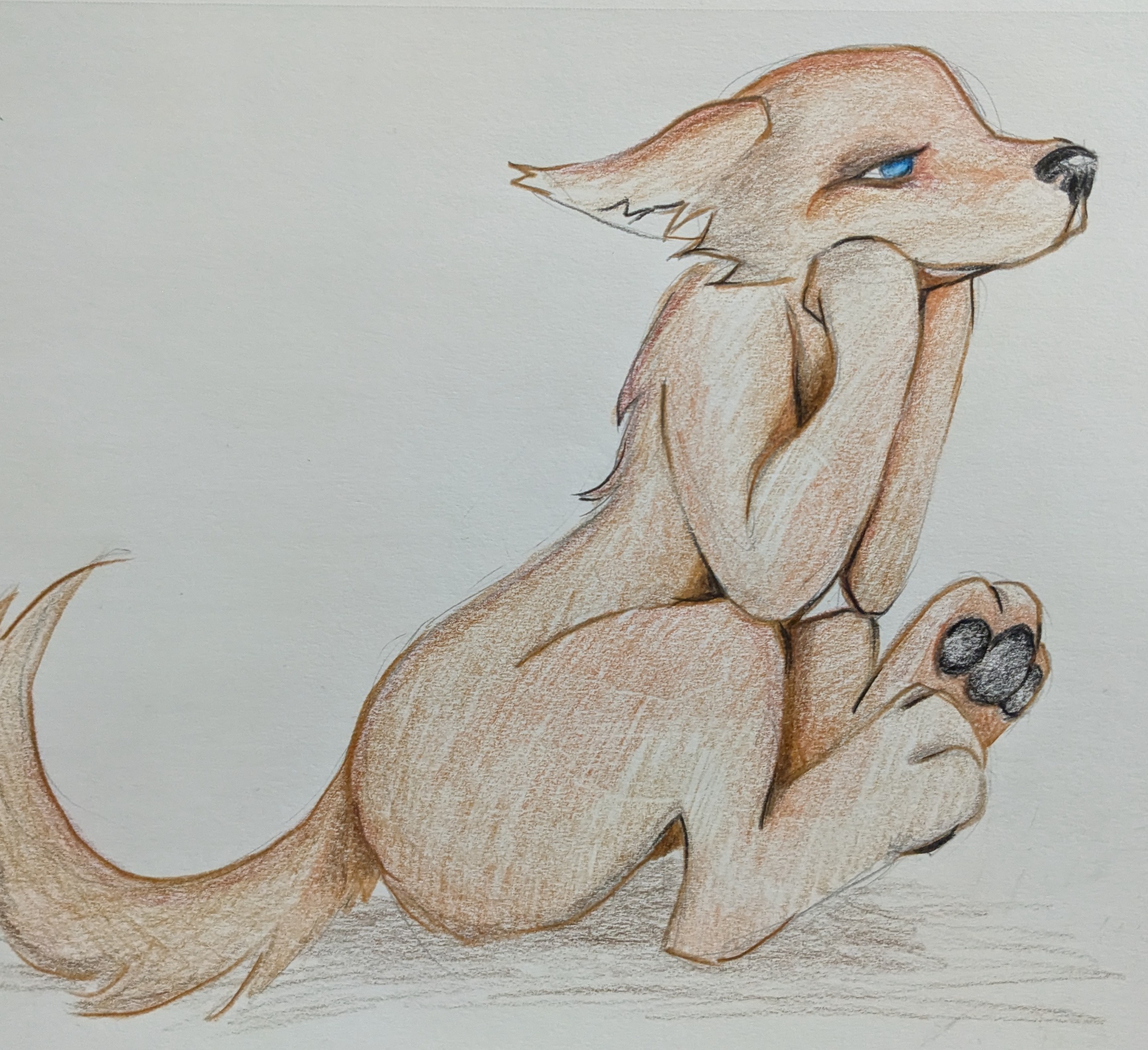 Daily Sketches for a Happier Mind