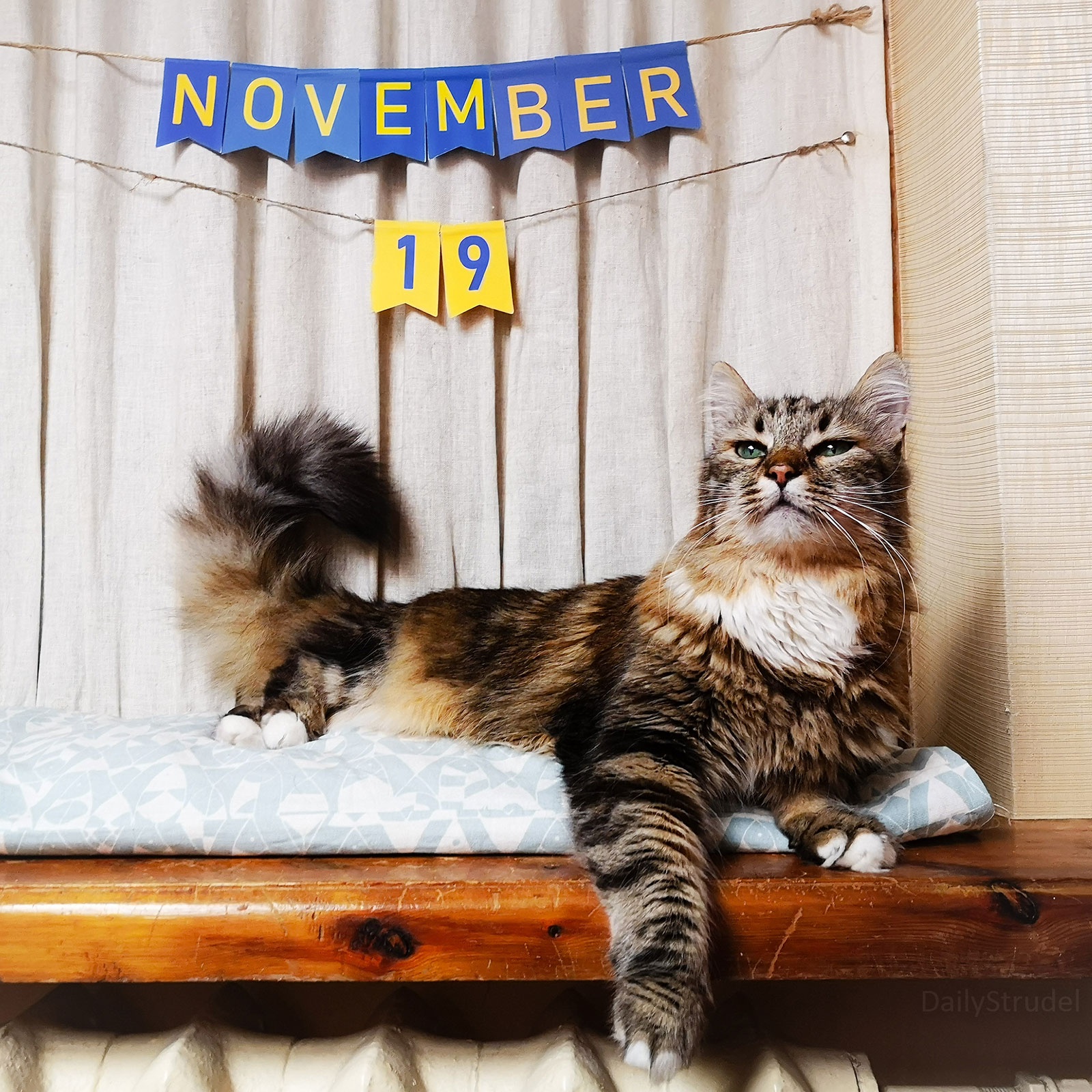 Mark Your Calendars: November 19
