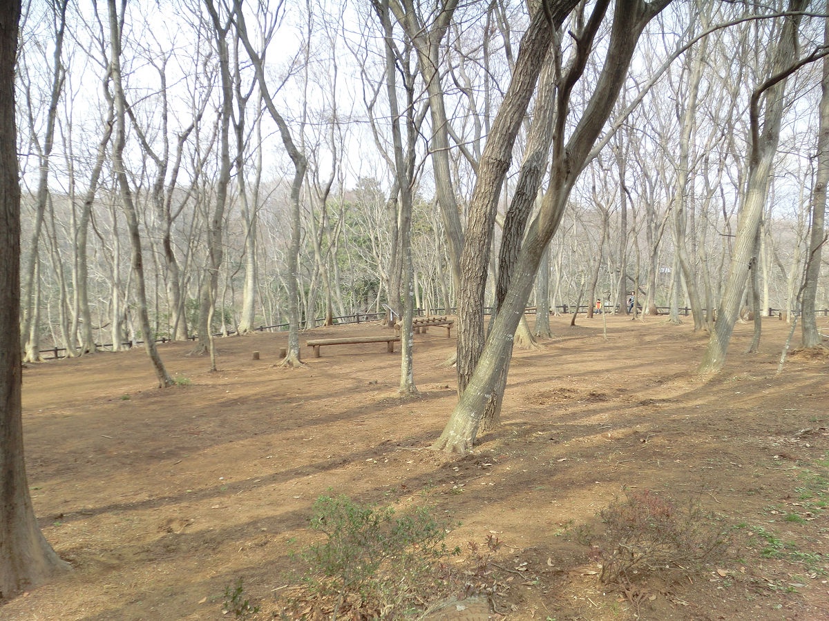 A snapshot from March 2015 at Funabashi Andersen Park in Chiba Prefecture
