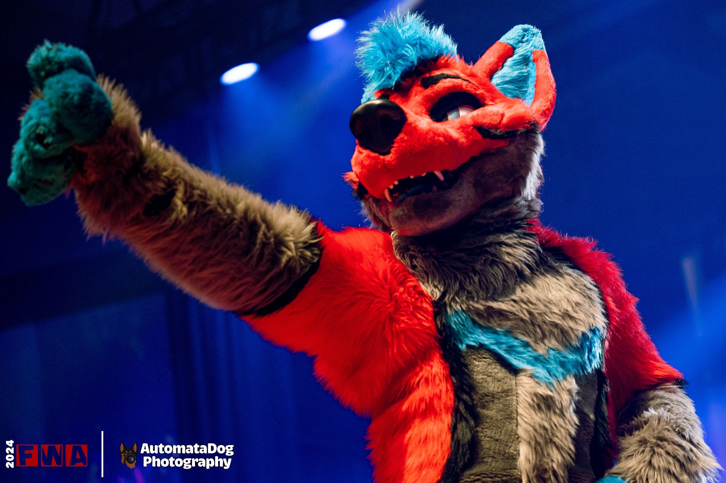 Daily Snap from a Furry Photographer - Day 404