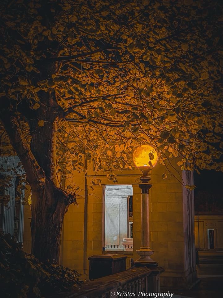 The Glow of a Night Light