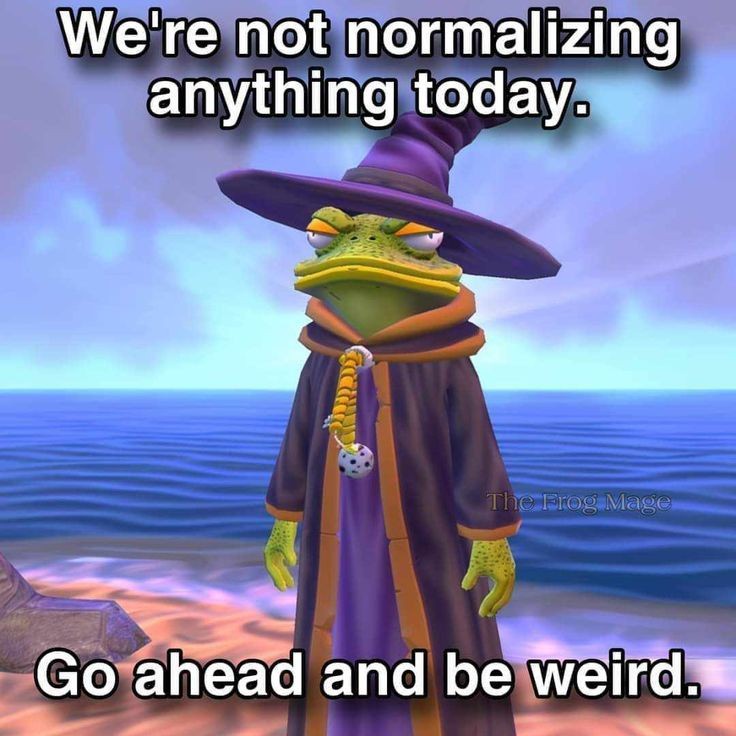 Meme Collection 565: The Enigmatic Wizard Frog