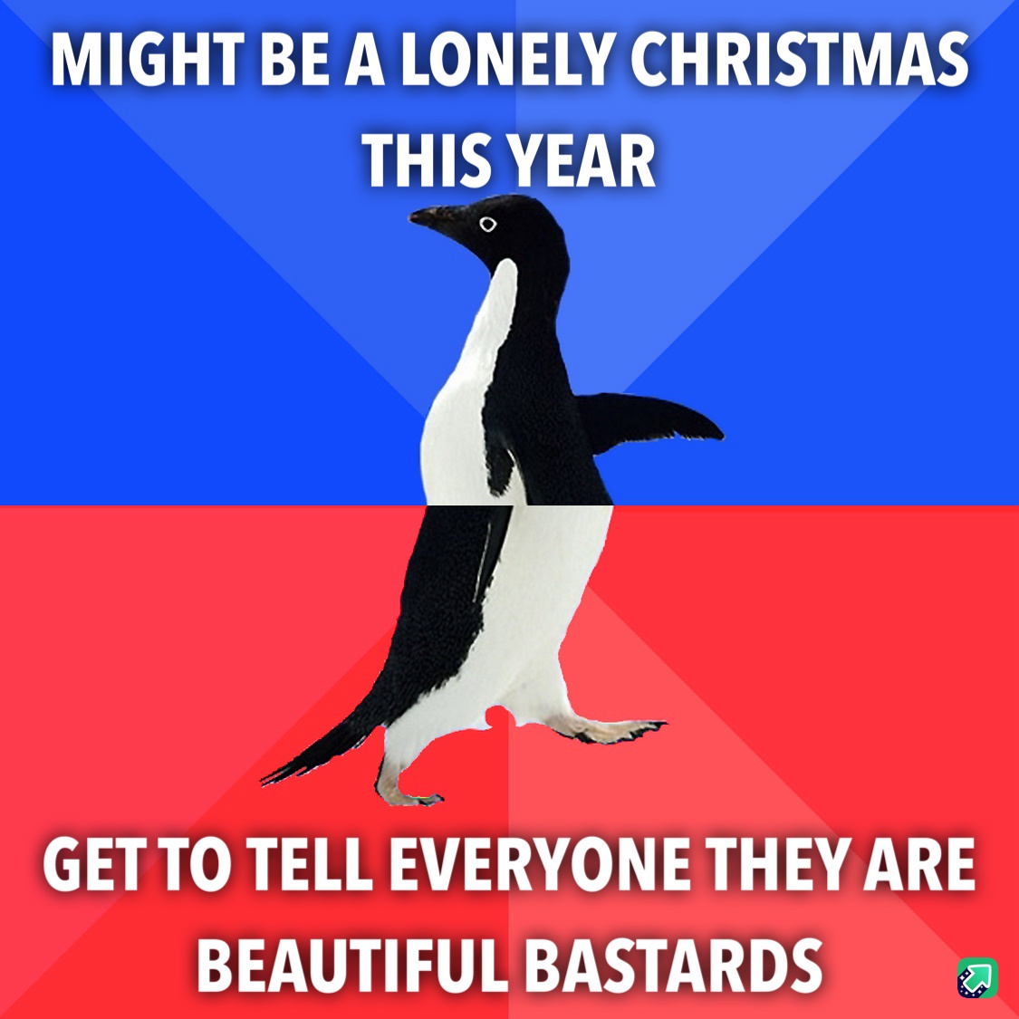 Care to Join Me for Some Holiday Cheer This Christmas?